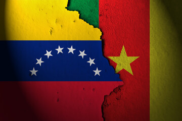 Relations between venezuela and cameroon