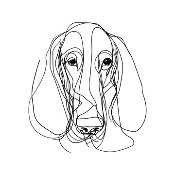 Messy line drawing of a basset hound dog's face