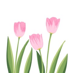 Spring flowers on white background. Rose tulips illustration. Simple flower decorative elements for cards. Easter decoration. Mother’s Day celebration. Floral frame