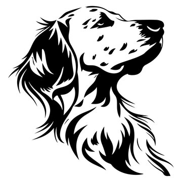 English Setter dog black silhouette logo svg vector, English Setter icon illustration.
