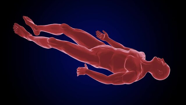 convulsing of body muscles contract and relax uncontrolled shaking of the body 3D animation