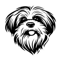 Havanese dog black silhouette logo svg vector, Havanese icon illustration.