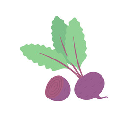 Beetroot is full and half, with leaves. Flat vector.