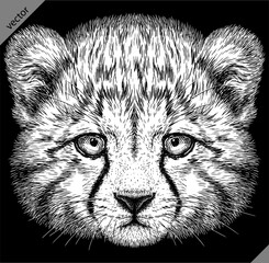 Vintage engraving isolated leopard set panther illustration ink sketch. Africa wild cat cheetah background jaguar animal silhouette art. Black and white hand drawn vector image