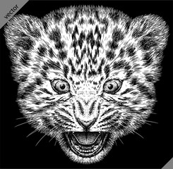 Vintage engraving isolated leopard set panther illustration ink sketch. Africa wild cat cheetah background jaguar animal silhouette art. Black and white hand drawn vector image