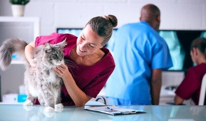 Female Vet Examining Pet Cat In Surgery With Veterinary Team In Background