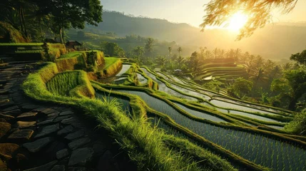 Papier Peint photo autocollant Rizières rice terrace landscape at sunset, featuring intricate terraces and traditional architecture in the fading light