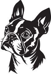 Boston Terrier dog head silhouette