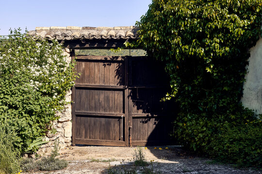 Ivy (Hedera), lilies (Iris) and celinda (Philadelphus coronarius) frame a wooden gate with a roof in the patio of a town house.