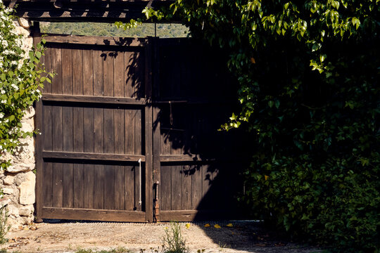 Ivy (Hedera), lilies (Iris) and celinda (Philadelphus coronarius) frame a wooden gate with a roof in the patio of a town house.