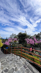 panorama of beautiful countryside of bogor. sunny morning. wonderful springtime landscape in mountains. grassy field and rolling hills. rural scenery. 