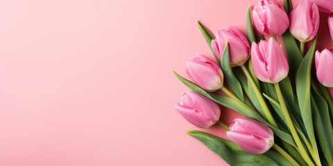 Obraz premium Bouquet of pink tulips for the holiday of the eighth of March, pink background, Generative AI