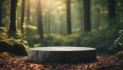 Foto op Plexiglas Flat stone podium in the magical forest, empty round stand background © Adi