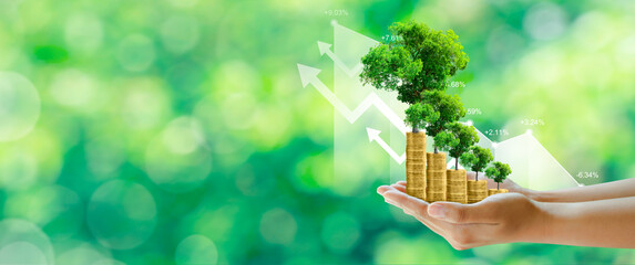Businessman hand holding step of coins stacks with tree growing on top in nature green background....