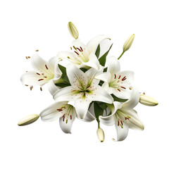 Lily surrounded by butterflies flower isolated on transparent background