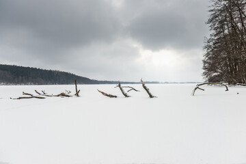 zimowa panorama na zamarznięte i zasypane śniegiem jezioro