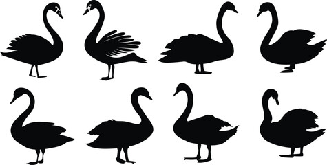 Swan silhouettes set. Set of silhouettes of swans. Vector illustration