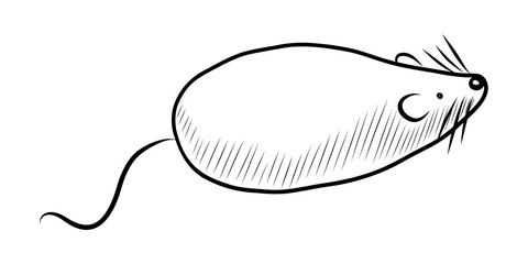 BLACK AND WHITE VECTOR DRAWING OF A TOY MOUSE FOR PETS