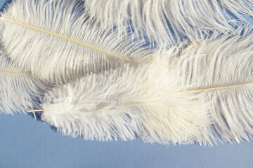 White fluffy ostrich feathers close up on craft paper background with copy space for text, soft and elegance concept