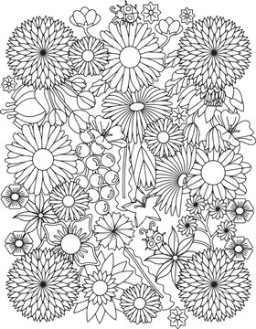 seamless floral pattern adult coloring page mandala adult garden Christmas flower background