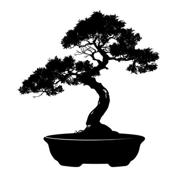 Silhouette bonsai tree black color only
