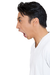 Closeup side view profile portrait of angry guy, upset young man, mad worker, furious employee, hostile business man, yelling, isolated on white background.  - 731133660