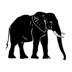 Obraz premium Silhouette elephant black color only full body