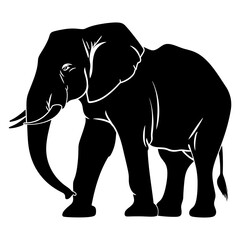 Obraz premium Silhouette elephant black color only full body