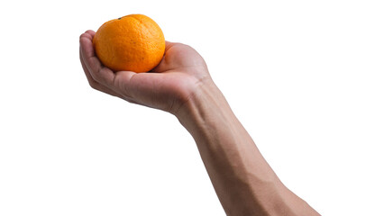 Hand-holding orange isolated on a transparent background