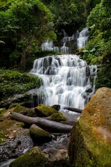 Fototapeta na wymiar Waterfall cascading through a lush forest with rocks and trees,