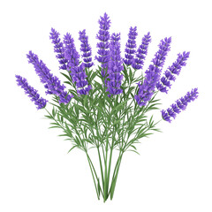 3d cartoon Lavender flowers bunch isolated on transparent background