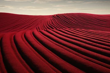 Fototapete Bordeaux ruby red wavy lines field landscape