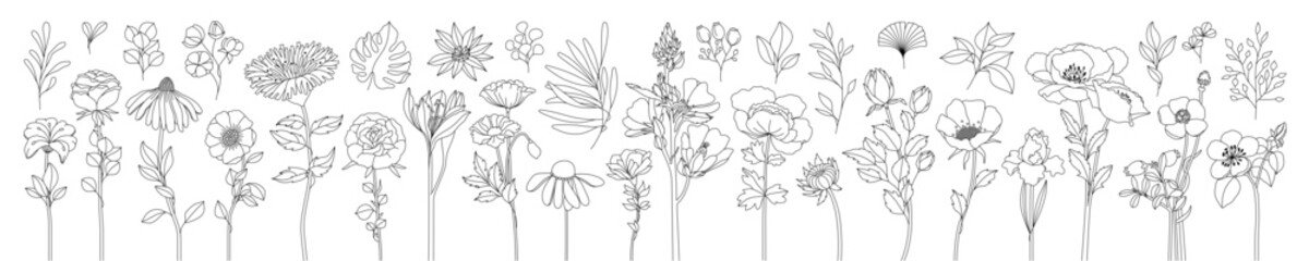 Set of floral compositions. Selection of Vector, leaves branches and blooming flowers Outlined Illustrations. Vector ornamental herbs bouquets. Hand Drawn designs for Wedding Templates