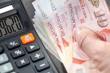 Singapore dollar, financial settlements, household budget, taxes, Singapore currency exchange rate,...