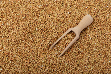 Green buckwheat background isolated on a white background. Superfood. Raw buckwheat porridge. Healthy vegan food, eco products, diet, organic.