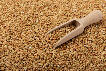 Green buckwheat background isolated on a white background. Superfood. Raw buckwheat porridge. Healthy vegan food, eco products, diet, organic.