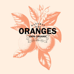 natural the best oranges is organic fruit, food fashion, fruit t-shirt print design, summer print design  - obrazy, fototapety, plakaty