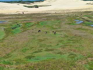 Len&ccedil;&oacute;is Paracuenses, Paracuru, Cear&aacute; Brasil