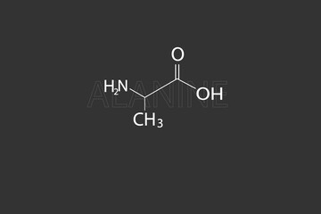 Alanine molecular skeletal chemical formula