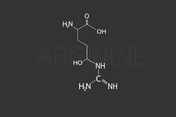 Arginine molecular skeletal chemical formula.
