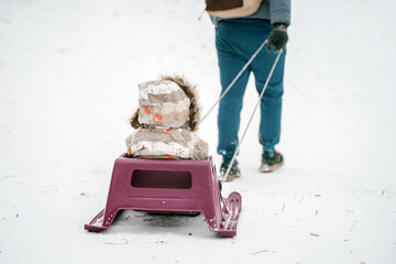 Child toddler on a sled in a snowy winter forest