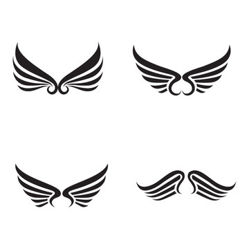  Wings logo design falcon bird vector image