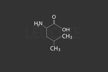 Leucine molecular skeletal chemical formula.