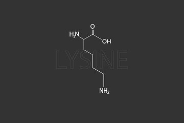 Lysine molecular skeletal chemical formula.