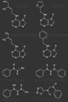 Structural chemical formulas of natural and synthetic plant hormones cytokinin.