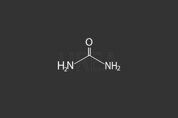 Urea molecular skeletal chemical formula.