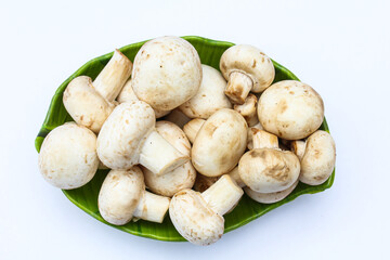 White mushrooms in a plate on white background 