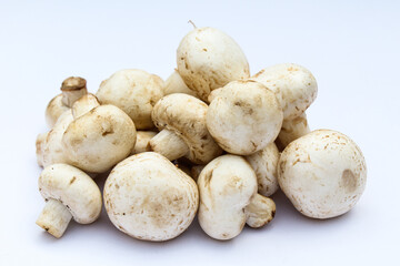 White mushrooms on white background close-up view 