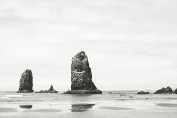 Rock Off The Oregon Coast