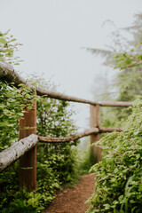 Wooden Fence In The Fog